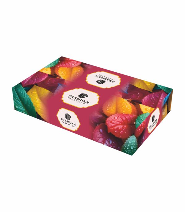 Custom Garment Boxes with premium printed packaging for apparel and clothing brands